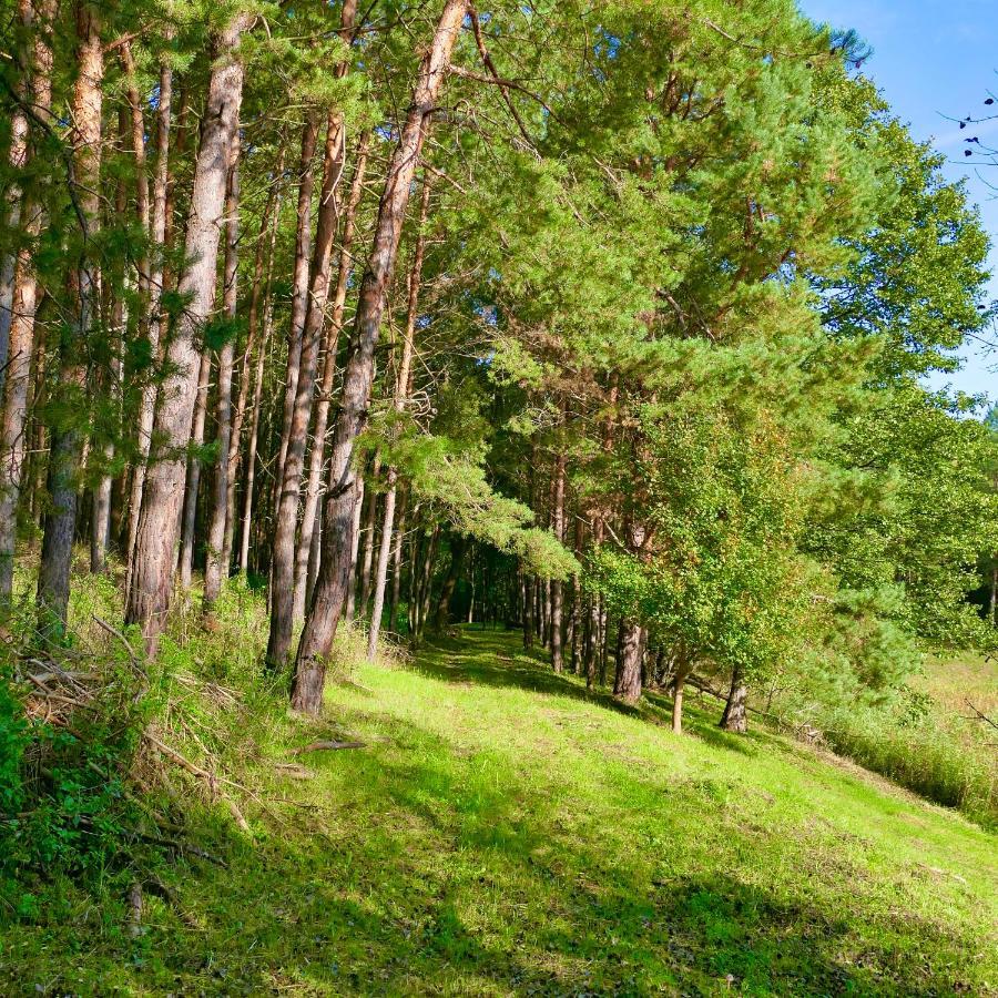 Bakony Deep Forest Vendeghaz Bakonyszentlaszlo Exterior foto